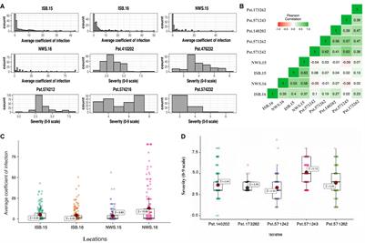 Genome-Wide Association and Genomic Prediction for Stripe Rust Resistance in Synthetic-Derived Wheats